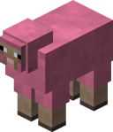 Pink Sheep BE3