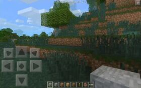 Pocket Edition 0.9.0.b12