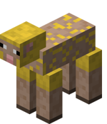 Sheared Yellow Sheep