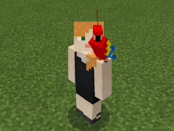 鹦鹉 Minecraft Wiki 最详细的官方我的世界百科 鹦鹉 Minecraft Wiki 最详细的官方我的世界百科