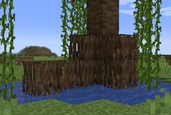 Mangrove tree roots.png