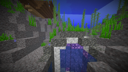 沉船 Minecraft Wiki 最詳細的官方minecraft百科 沉船 Minecraft Wiki 最詳細的官方minecraft百科