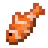 Tropical Fish