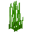 Tall Seagrass