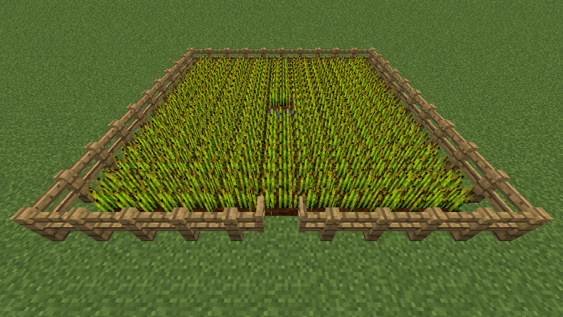 File Wheat Farm With Fences Png Minecraft Wiki 最详细的官方我的世界百科