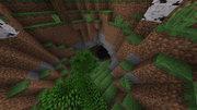 Spaghetti cave entrance