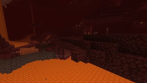 Nether wastes