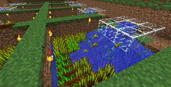教學 農作物種植 Minecraft Wiki 最詳細的minecraft百科