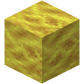 Horn Coral Block BE1