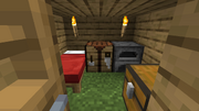 Survival Hut