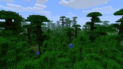 丛林 Minecraft Wiki 最详细的官方我的世界百科 丛林 Minecraft Wiki 最详细的官方我的世界百科