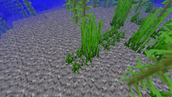 海草 Minecraft Wiki 最详细的官方我的世界百科 海草 Minecraft Wiki 最详细的官方我的世界百科