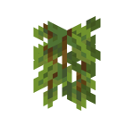 Cave Vines JE1 BE1