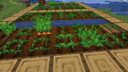 胡萝卜 Minecraft Wiki 最详细的官方我的世界百科