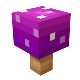 Death Cap Mushroom (MCD)