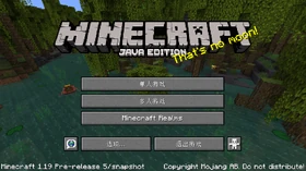 Java Edition 1.19-pre5