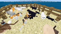 貓 Minecraft Wiki 最詳細的官方minecraft百科 貓 Minecraft Wiki 最詳細的官方minecraft百科