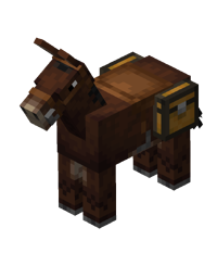 Saddled Chested Mule