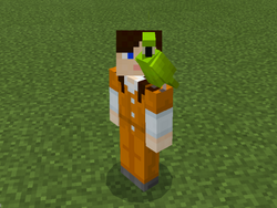 鹦鹉 Minecraft Wiki 最详细的官方我的世界百科 鹦鹉 Minecraft Wiki 最详细的官方我的世界百科