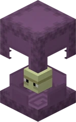 Shulker Open