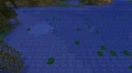 Some lilypads in a swamp biome. The green coloration of the swamp water can also clearly be seen.
