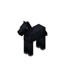 Baby Black Horse