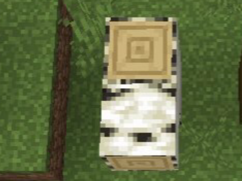 原木 Minecraft Wiki 最详细的官方我的世界百科 原木 Minecraft Wiki 最详细的官方我的世界百科