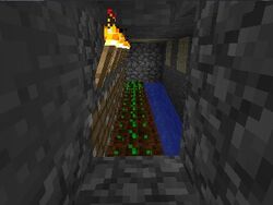 教程 农作物种植 Minecraft Wiki 最详细的官方我的世界百科