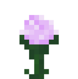 花 Minecraft Wiki 最详细的官方我的世界百科 花 Minecraft Wiki 最详细的官方我的世界百科