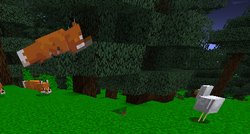 狐狸 Minecraft Wiki 最详细的官方我的世界百科 狐狸 Minecraft Wiki 最详细的官方我的世界百科
