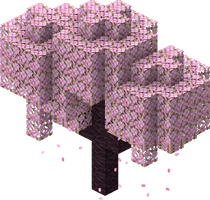 Cherry Blossom Tree