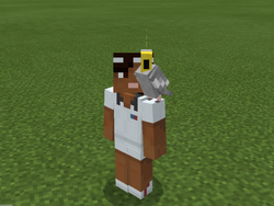 鹦鹉 Minecraft Wiki 最详细的官方我的世界百科 鹦鹉 Minecraft Wiki 最详细的官方我的世界百科