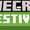 Minecraft Festival