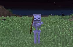 骷髅 Minecraft Wiki 最详细的官方我的世界百科 骷髅 Minecraft Wiki 最详细的官方我的世界百科