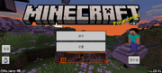 Bedrock 1.20.41 Simplified