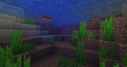 1.8underwater.png (1.22 MB) Beta 1.8中的水下粒子,或者是“气泡”
