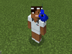 鹦鹉 Minecraft Wiki 最详细的官方我的世界百科 鹦鹉 Minecraft Wiki 最详细的官方我的世界百科