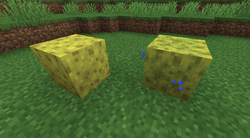 海绵 Minecraft Wiki 最详细的官方我的世界百科 海绵 Minecraft Wiki 最详细的官方我的世界百科