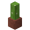 Potted Cactus