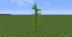 海带 Minecraft Wiki 最详细的官方我的世界百科 海带 Minecraft Wiki 最详细的官方我的世界百科
