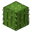 Cactus BE4