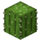 Cactus BE4