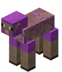 Sheared Magenta Sheep BE1