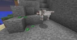 海龟 Minecraft Wiki 最详细的官方我的世界百科 海龟 Minecraft Wiki 最详细的官方我的世界百科