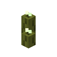 海泡菜 Minecraft Wiki 最详细的我的世界百科 海泡菜 Minecraft Wiki 最详细的我的世界百科