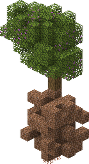 Azalea Tree with Roots