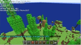 Java版Rotation数值特性 | Minecraft 中文考古 Wiki | Fandom
