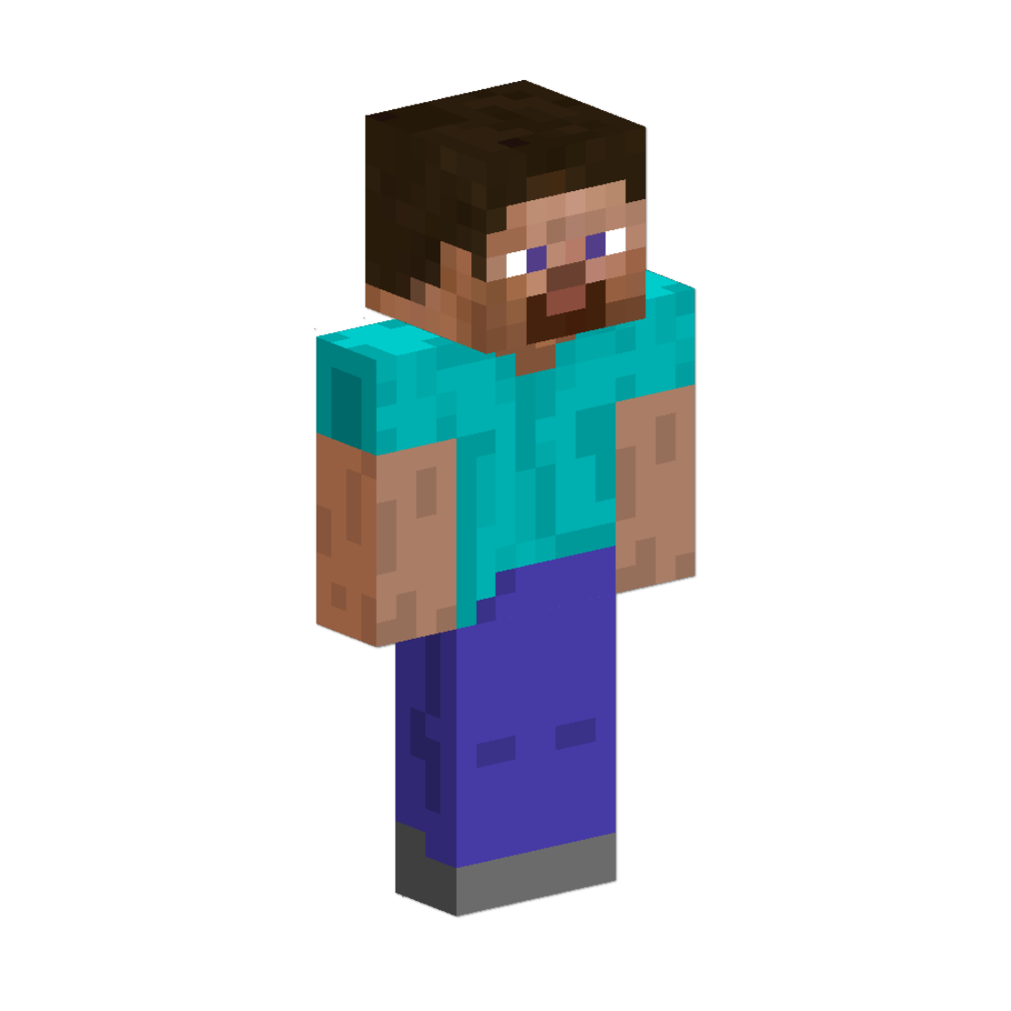 Steve photo