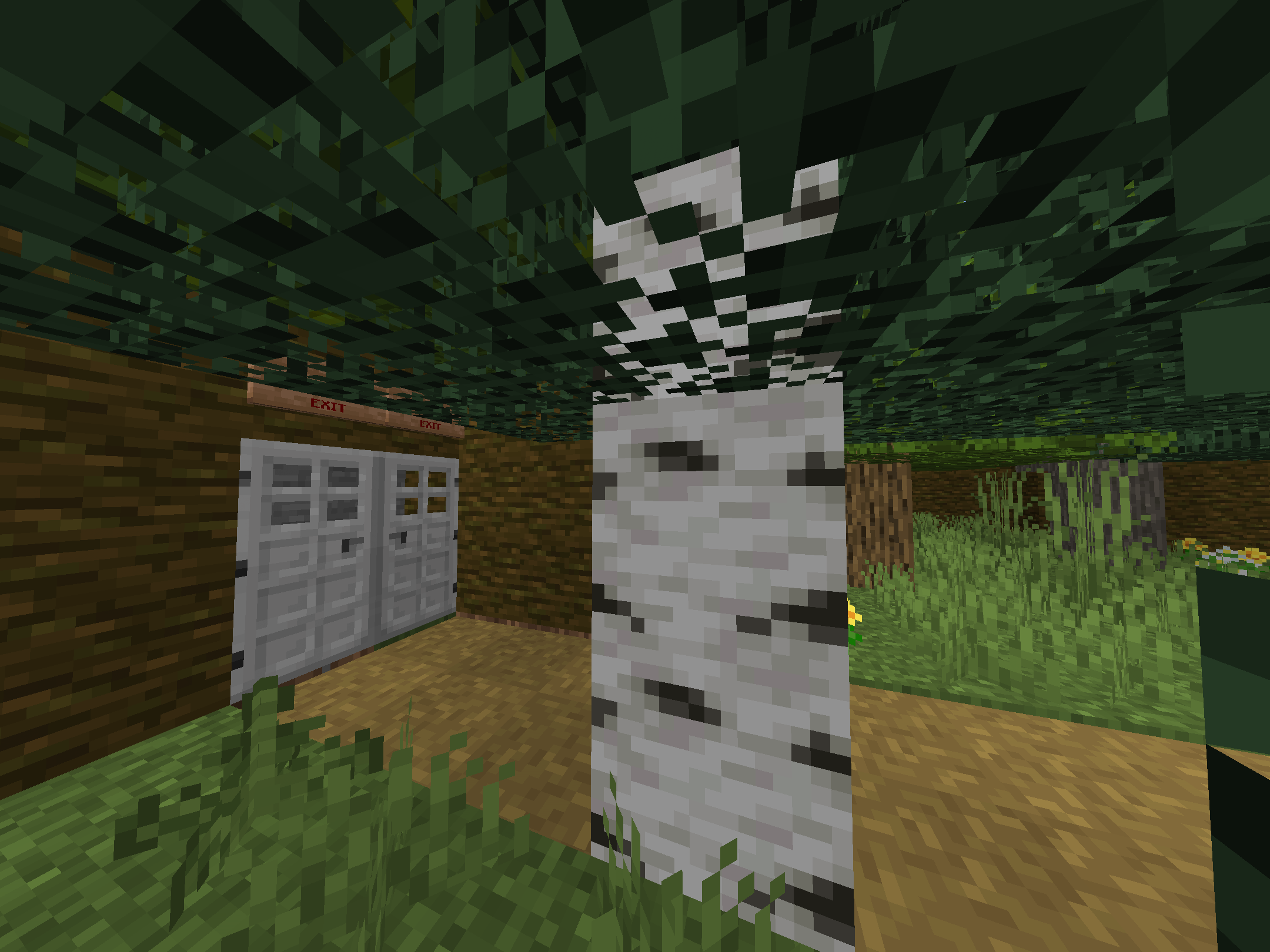 Minecraft backrooms, Minecraft CreepyPasta Wiki