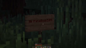 Bandicam 2021-01-01 13-22-15-497